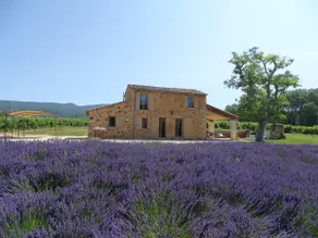 Bastidon avec piscine chauffée et jardin privatif dans le Luberon - Image 4
