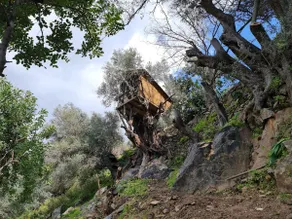 Traditional Cretan House with a Natural Oasis & Spring Water Cistern - Image 3