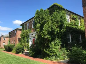 Summer or full year rental Harvard Walkable 1bdr - Image 4