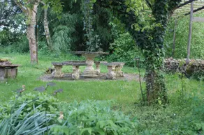 Country house, quiet and greenery - Image 3