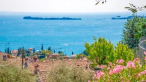 La cà dei ulif - Image 2