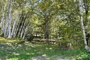 Meadows. Updated! Privacy, views, near everything - Image 3