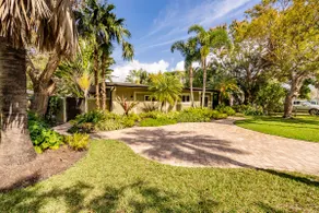 The Happy House - Seeing is Believing! - Image 3
