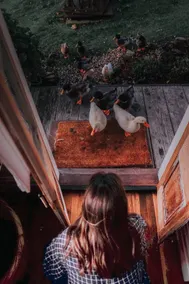 Captain's Rest, Tasmania's Most Sought-After Stay - Image 5