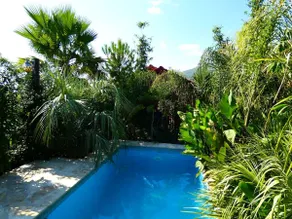 Villa Tropica, total privacy, tropical garden and private pool - Image 4