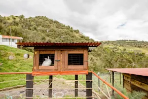Beautiful Cabin - Very close to Bogotá - Image 2