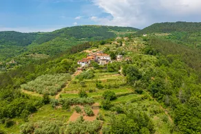 Holiday Home Belveder Motovun with heated pool - Image 4