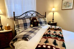 Moonlight In the Pines, a dreamy, warm cozy cabin - Image 3