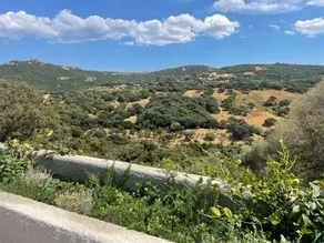 Typical stazzo surrounded by Gallura nature - Image 3