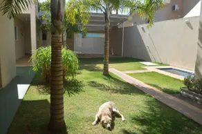 Grandma's House- Brotas-Sao Paulo - Image 3
