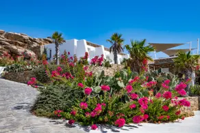 10' to Chora • Private Pool • Read Listing & Rules - Image 3
