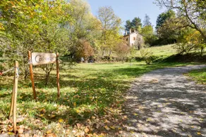 Small Country House - Image 3