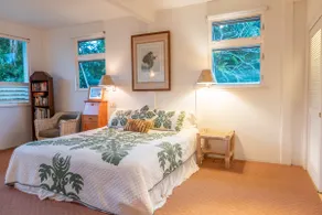 Romantic Hanalei Beach-Tsunami evac zone TVNC1280 - Image 4