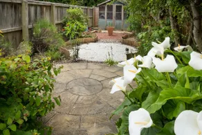 Central, Sun Facing Garden 2 BATHS Ferry Discount! - Image 5