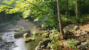 Catskills Mountain House with a Separate Cottage on a Creek - Image 5