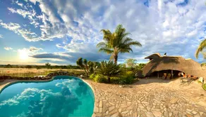 cocoa villa in the bush - Image 5