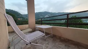 Bulbul Royal Nest - Image 2