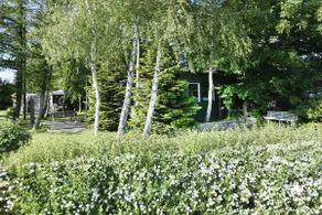 50m2 cottage with beautiful sea view - Image 4