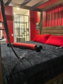 Private Adult Themed Cabin w/ Hot Tub - Image 3