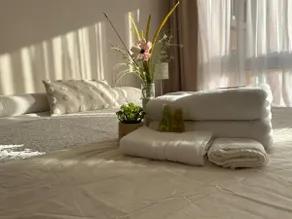 Furnished in front of Mall Trébol, Concepción - Image 5