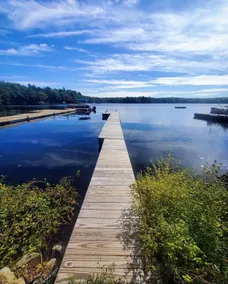 Cozy all season cabin w/private boathouse & dock! - Image 2