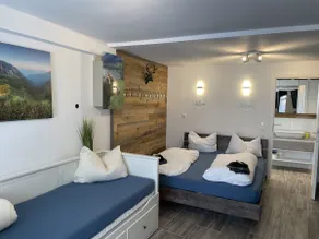 Newly renovated 1-room apartment in the center. - Image 3