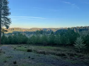 Off-Grid Cabin with a View - Image 1