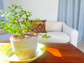 Brunia Bay Apartment - Image 2