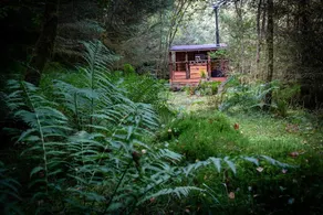 Badger's Sett - Image 4