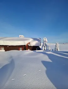 Melsjøen nature experiences - Image 3