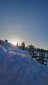 Melsjøen nature experiences - Image 5
