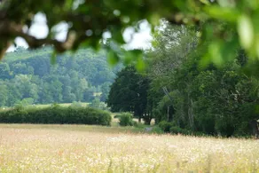Cottage Within Country Estate - Image 5