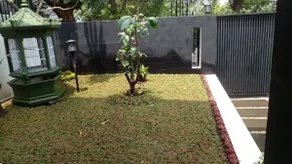 Beautiful + Comfortable Daily Rental House - Image 2