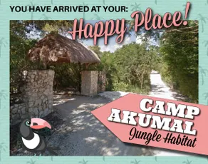 Poolside Suite *at* YOUR HAPPY PLACE! - Image 5