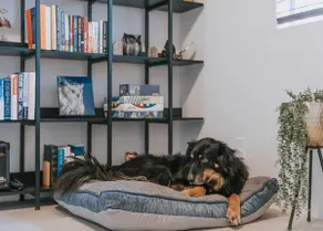 Dark Sky Chalet - Pet-Friendly - Image 2