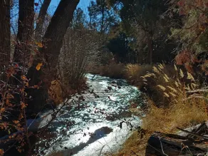 399 Sunshine Ranch - Image 3