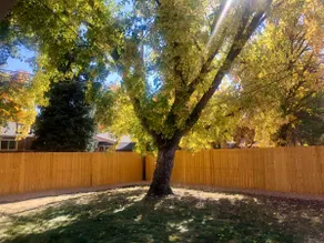 Charming Pet and Family friendly Arvada home - Image 4