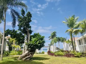 Tahatai - Private beach, pool, AC, High speed net - Image 2