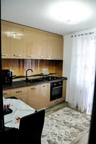Trotuș Comănești Studio - Image 5