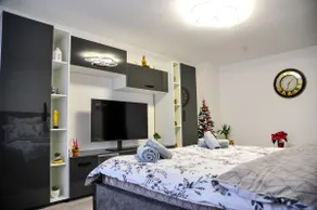Trotuș Comănești Studio - Image 4