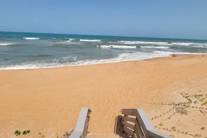 The Blue Dolphin Beach Cottage Steps from Beach - Image 3