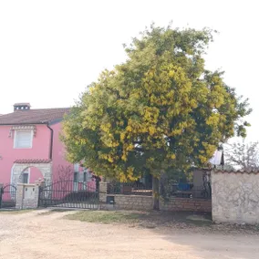 Haus Piccolina 2 - Image 5