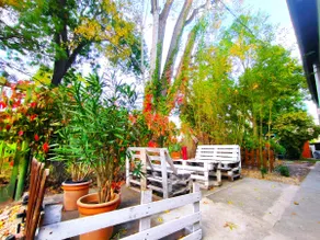 Caesar Residence - Claudius - Image 4