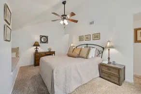 Villa Navidad ~ Aggieland Vacation Rentals (Navidad, Texas) - Image 5