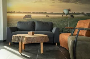 Weidezicht Vacation home - Image 3