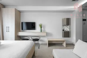 Pantheon 6.2 | Studio, Nilie Hospitality MGMT - Image 4