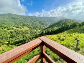 Guavate Villa - Idyllic Country Retreat and Pool - Image 3