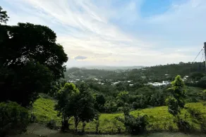 Guavate Villa - Idyllic Country Retreat and Pool - Image 4