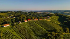 Tranquil Villa Vineyard: Jacuzzi & Vineyard Views - Image 3