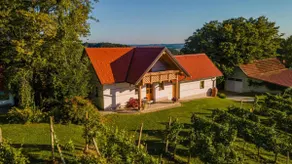 Tranquil Villa Vineyard: Jacuzzi & Vineyard Views - Image 4